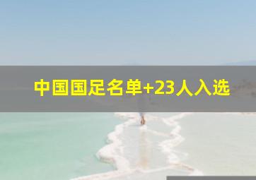 中国国足名单 23人入选